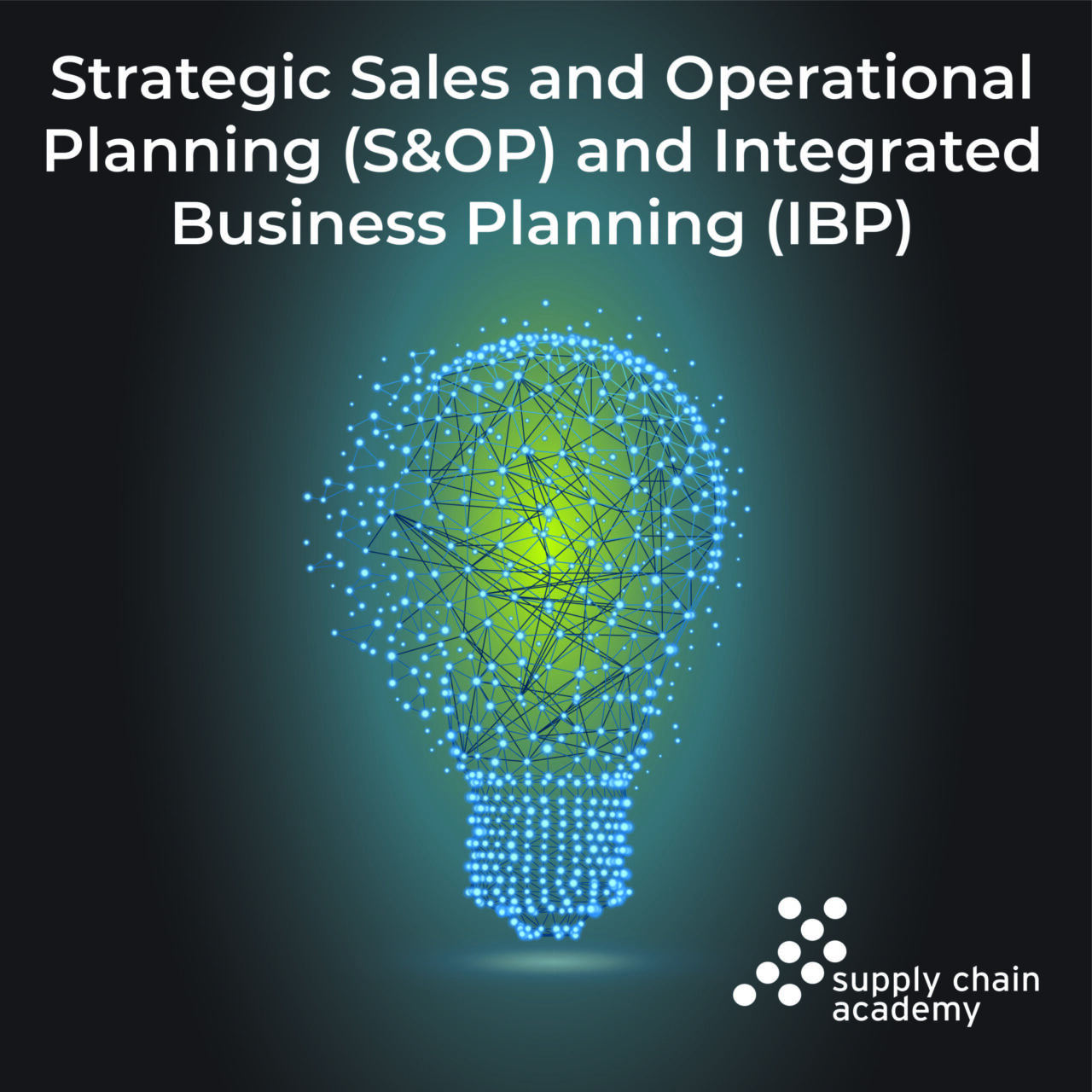 Strategic Sales And Operational Planning S OP Integrated Business