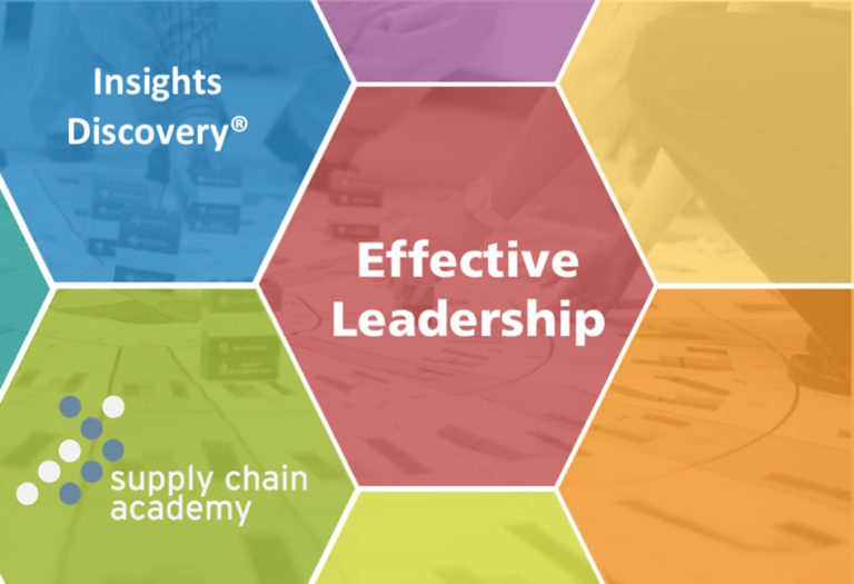 Insights Discovery® - Effective Leadership - The Supply Chain Academy